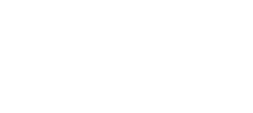 Action Marketing Plus